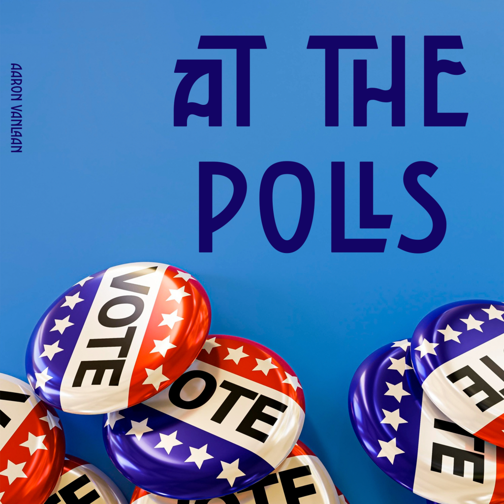 At the Polls